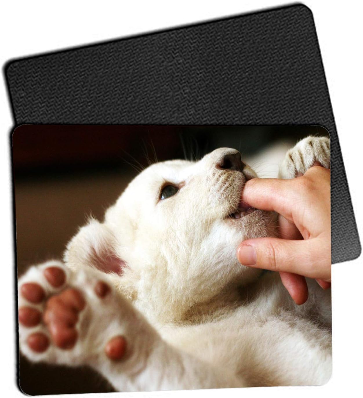Photo Mouse Pad 8x10